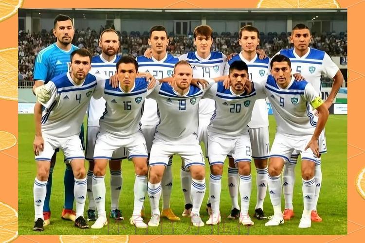 2026世界杯：被低估的黑马球队投注潜力深度解析
